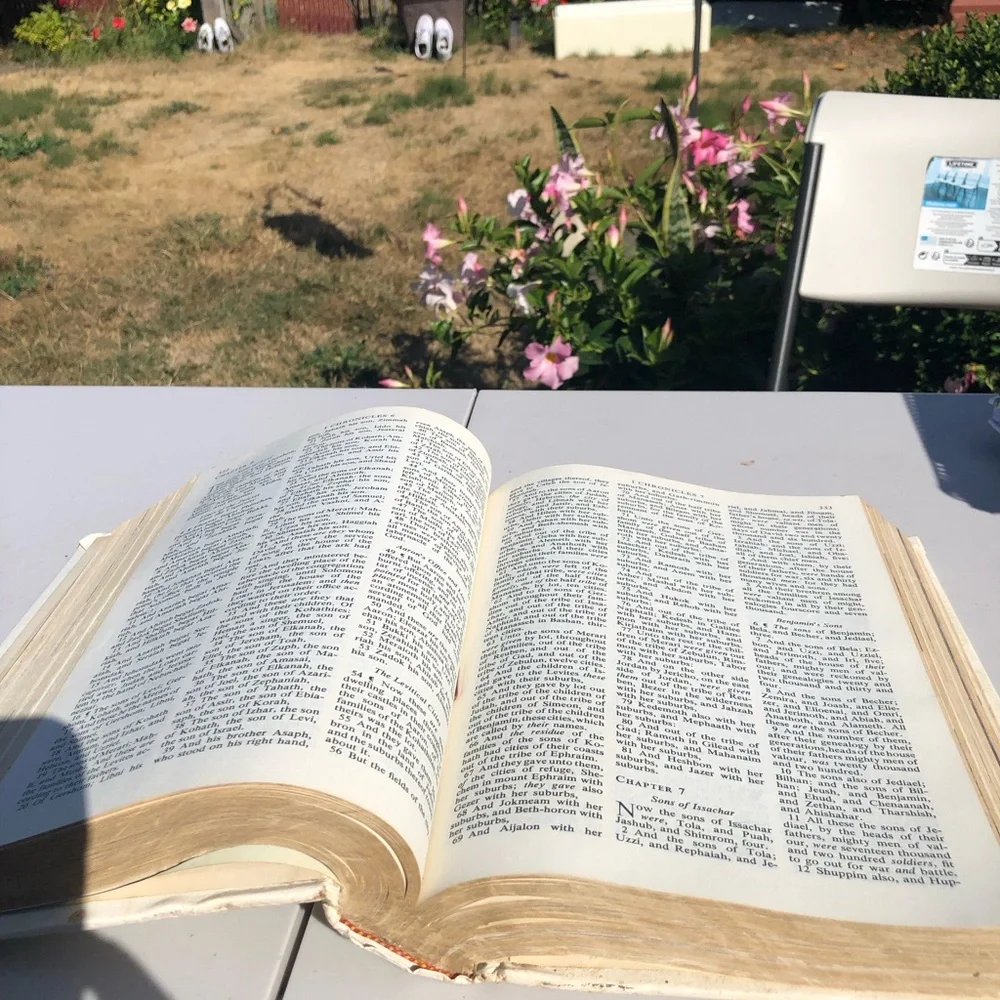 Classic White Holy Bible - White sling James Version CSS Edition 2976